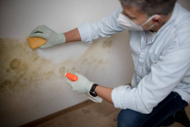 Crawl Space Mold Removal in Evansville, IN