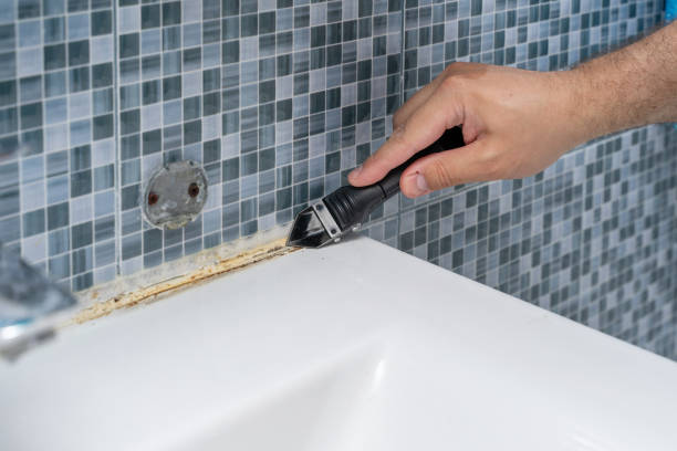 Best Commercial Mold Removal  in Evansville, IN